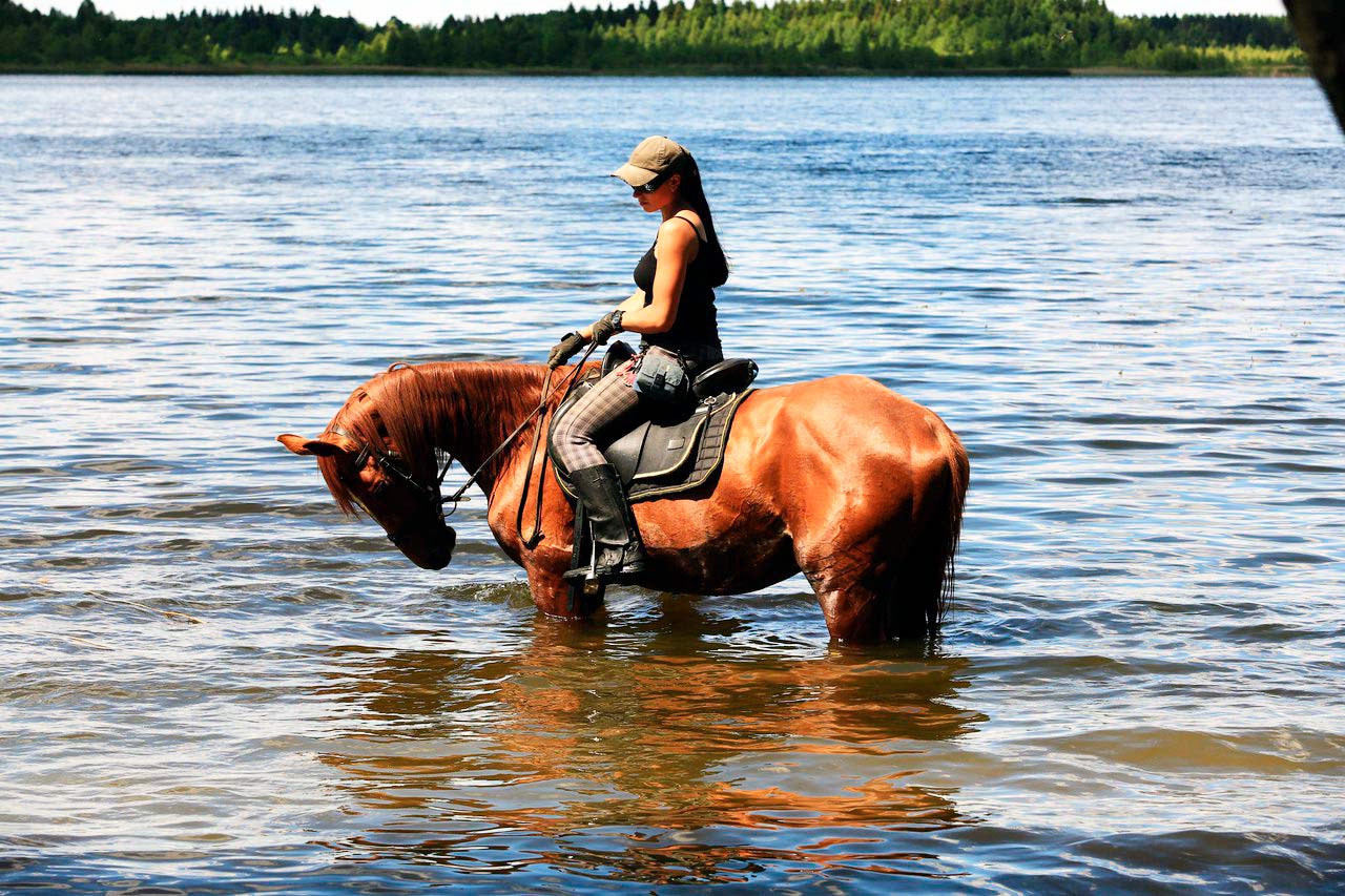 Прогулки на лошадях вдоль Нарочи
