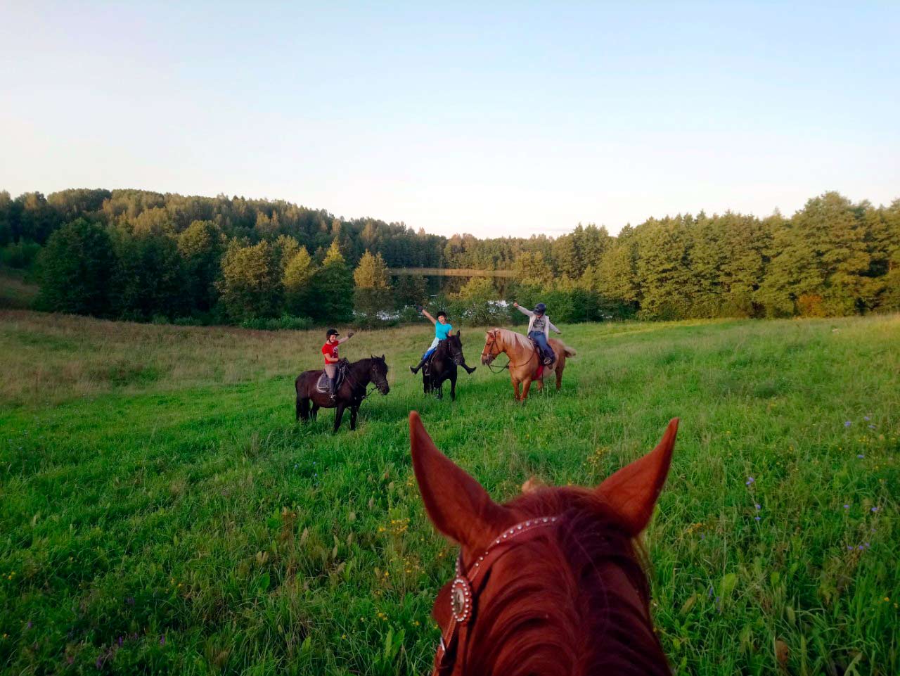 Прогулки на лошадях вдоль Нарочи