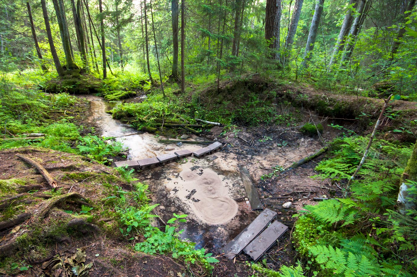 Большой Балтийский родник