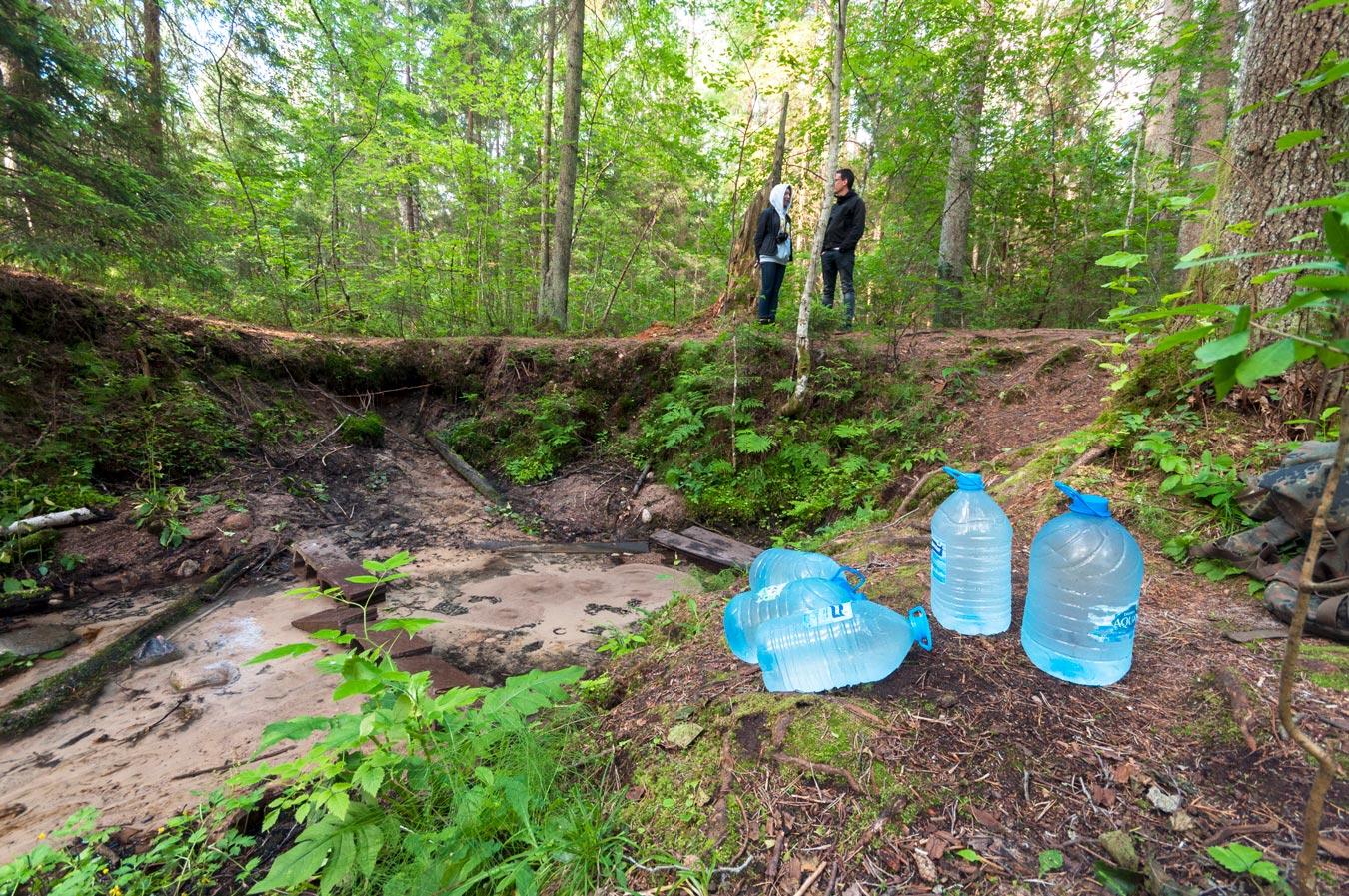 Большой Балтийский родник