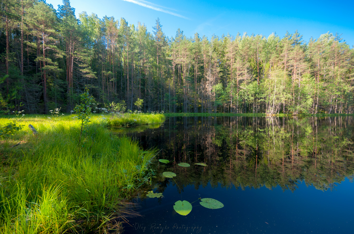 Озеро Мертвое