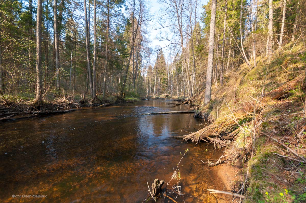 Река Страча