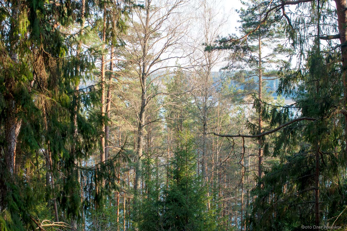 Вид на озеро
