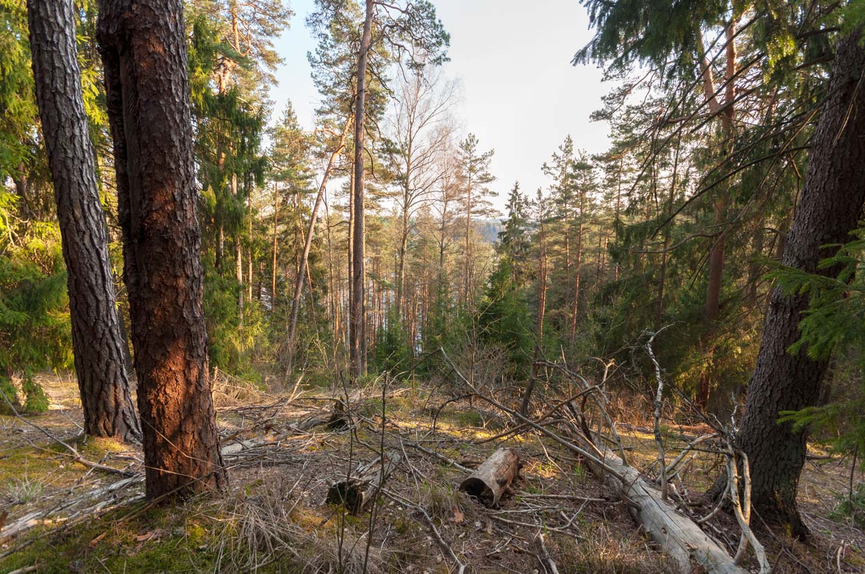 Вид на озеро