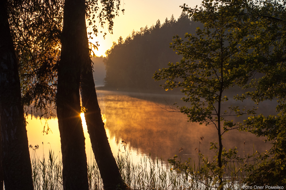 после дождя
