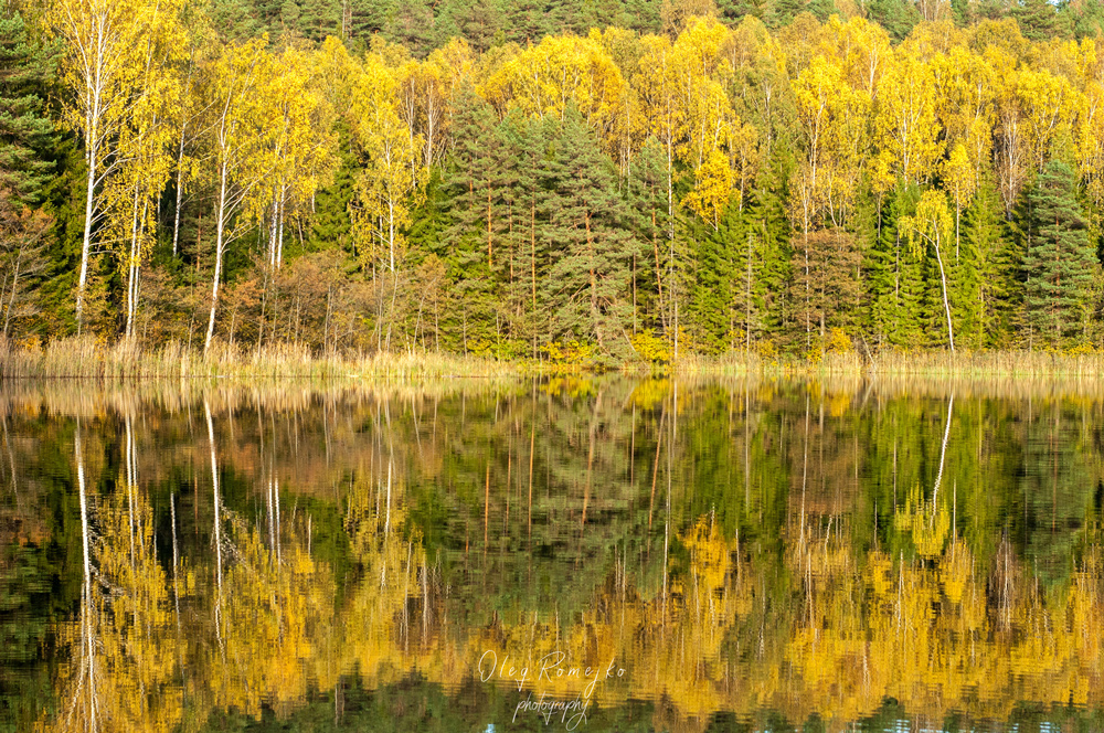 отражение в озере Глубелька