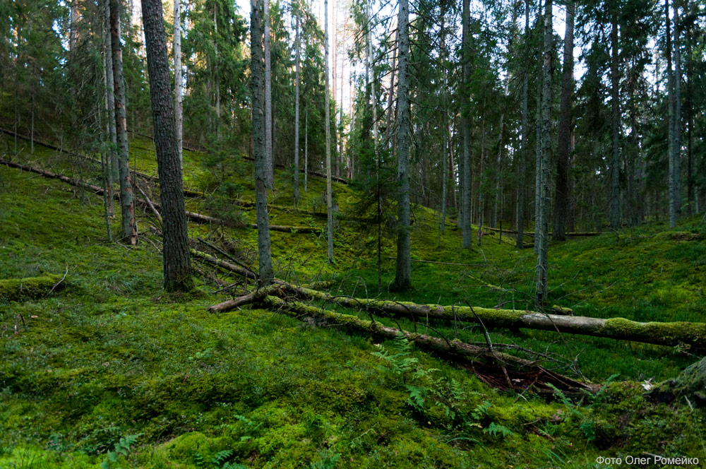 Глубокие впадины от ледника