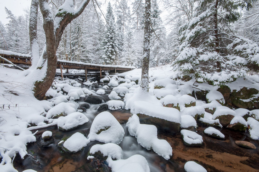 Кемпинг Мельница