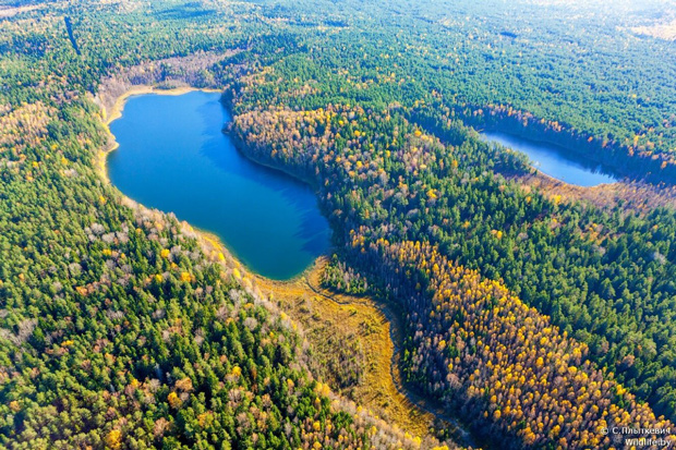 Болтик Большой и Малый