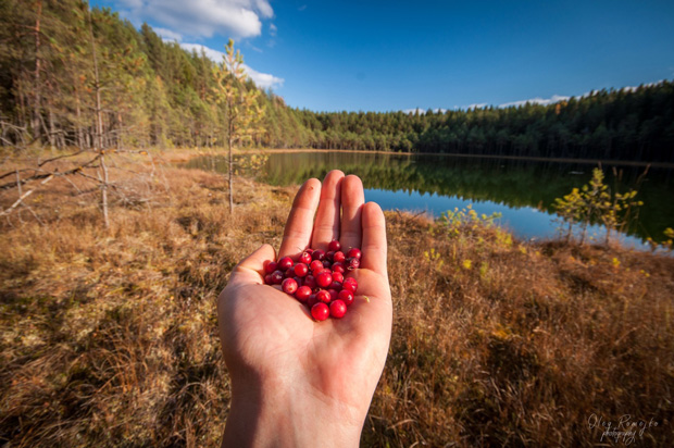 Озеро Имшарец